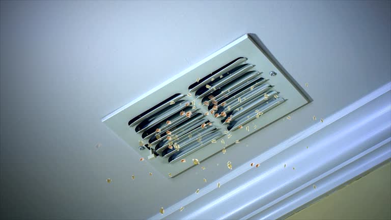 Best Professional Duct Cleaning Services  in Middletown, VA